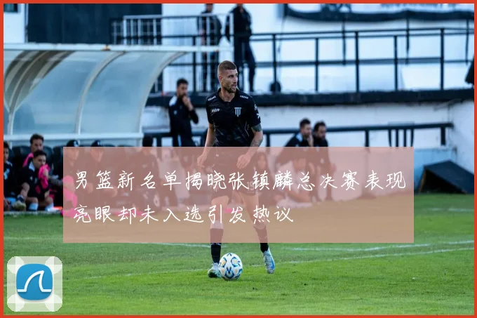 男篮新名单揭晓张镇麟总决赛表现亮眼却未入选引发热议